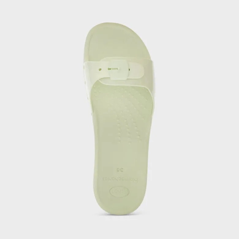 scholl sun